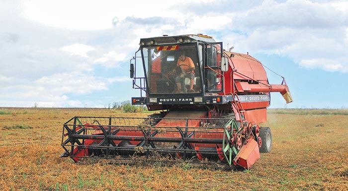 kerdizei-edafos-sta-farsala-i-fava-201361