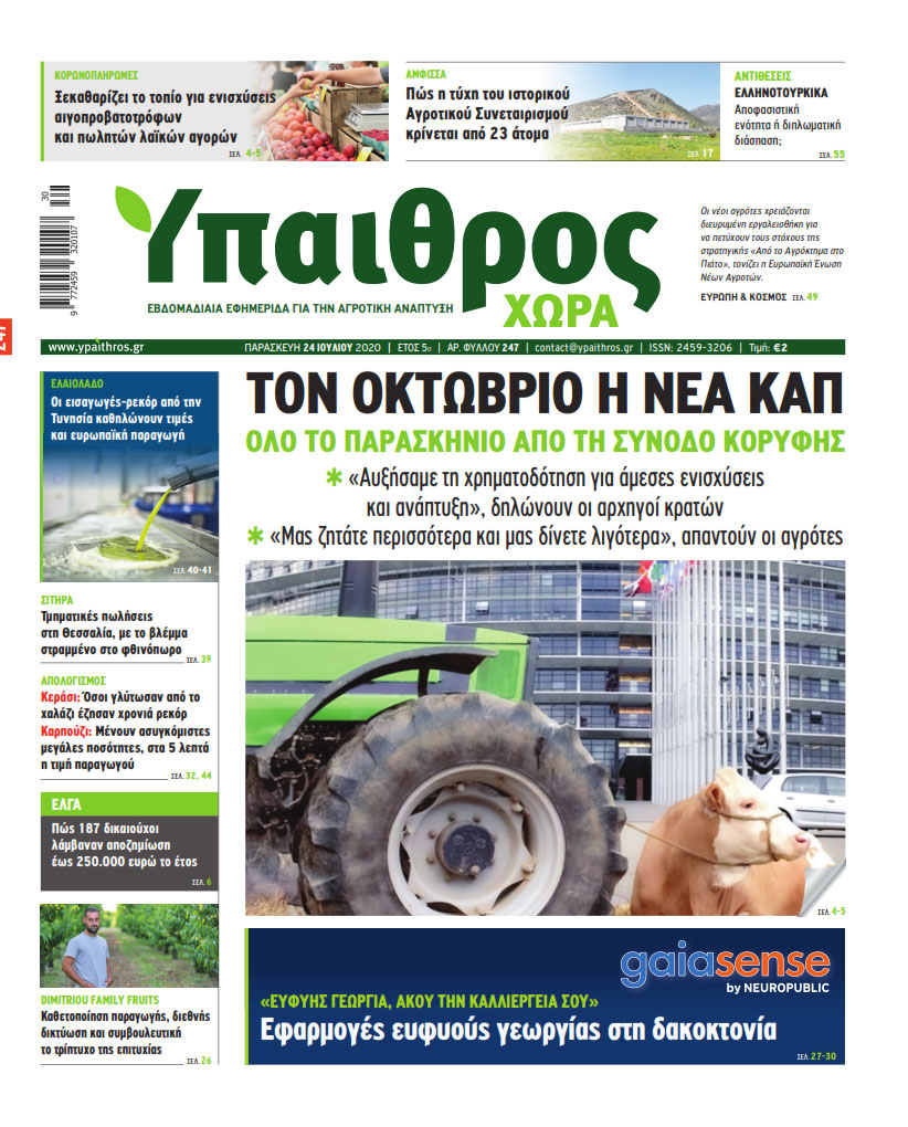 fyllo-247-paraskevi-24-iouliou-2020-203900
