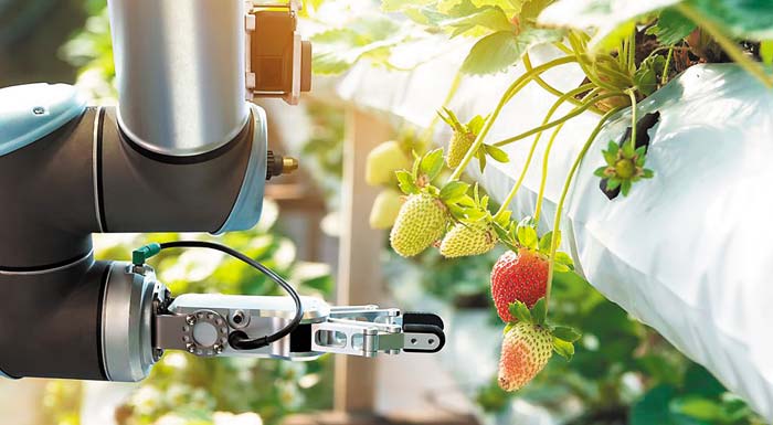 robot-entopizoun-zizania-kai-sygkomizoun-fraoules-203449