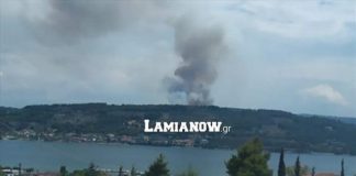 Φθιώτιδα: Στις φλόγες αγροτοδασική έκταση στον δήμο Λοκρών