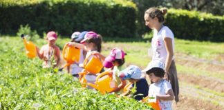 Little Green Farmers: Πλατφόρμα της ΑΓΣ για την ανάπτυξη κηπουρικών δραστηριοτήτων