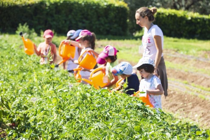 Little Green Farmers: Πλατφόρμα της ΑΓΣ για την ανάπτυξη κηπουρικών δραστηριοτήτων