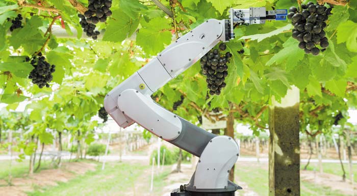 epanomi-thessalonikis-sta-robot-perna-o-trygos-202384
