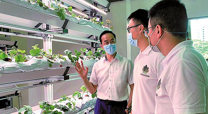 sigkapouri-stirixi-ton-agrotikon-start-ups-apo-ton-kratiko-organismo-neofyous-epicheirimatikotitas-203474