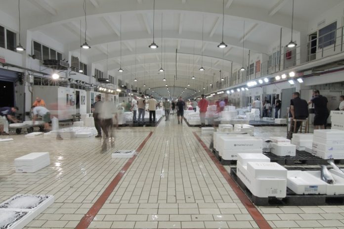 Ιχθυόσκαλα Κερατσινίου: Συγκέντρωσαν χρήματα για την αντιμετώπιση του COVID-19 για το Υπ. Υγείας οι συνεργάτες του ΟΚΑΑ ΑΕ Ιχθυόσκαλα Κερατσινίου: Συγκέντρωσαν χρήματα για την αντιμετώπιση του COVID-19 για το Υπ. Υγείας οι συνεργάτες του ΟΚΑΑ ΑΕ
