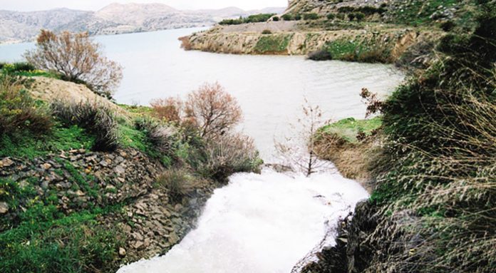 toeb_kriti
