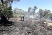 Χίος – Νένητα: Άμεσα σβήστηκε φωτιά σε καλλιέργειες