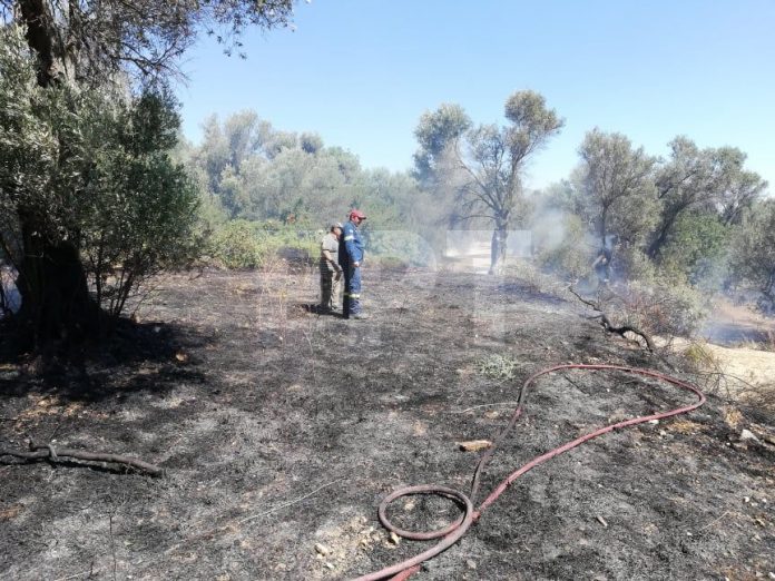 Χίος – Νένητα: Άμεσα σβήστηκε φωτιά σε καλλιέργειες