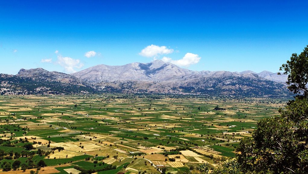 zitoun-ardeftika-erga-sto-oropedio-lasithiou-203246