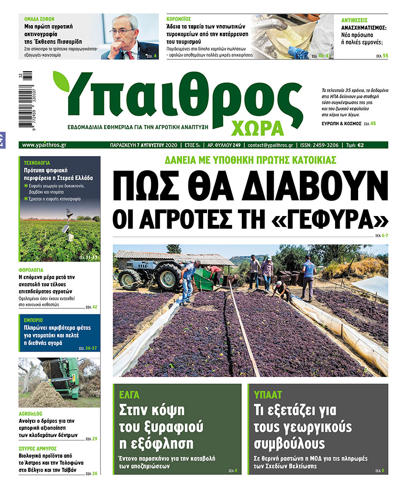 fyllo-249-paraskevi-7-avgoustou-2020-204979