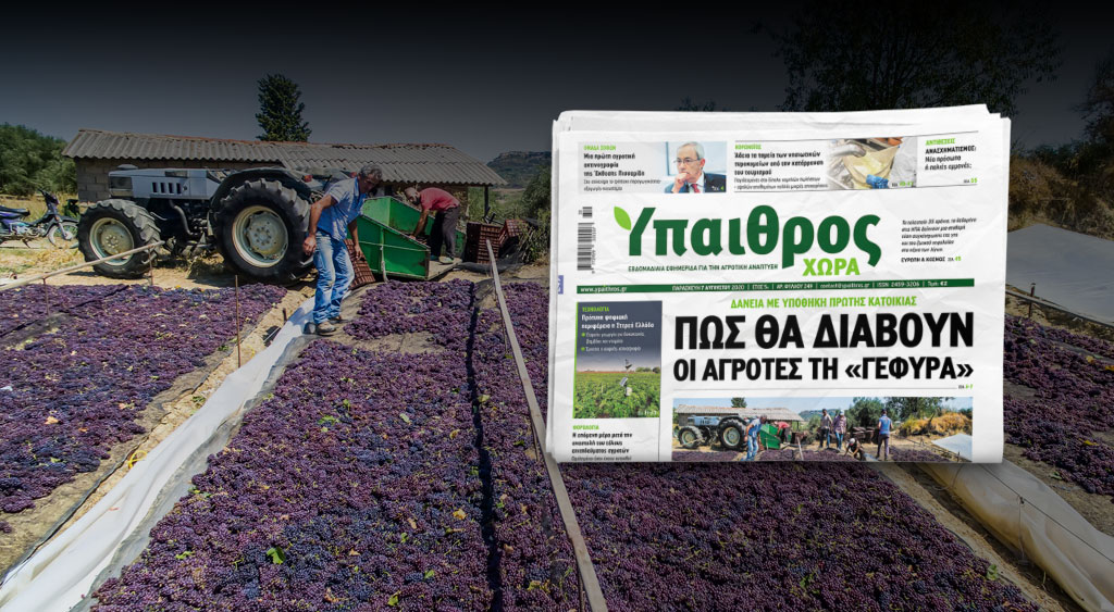 diavaste-stin-ych-daneia-me-ypothiki-protis-katoikias-pos-tha-diavoun-oi-agrotes-ti-gefyra-204980