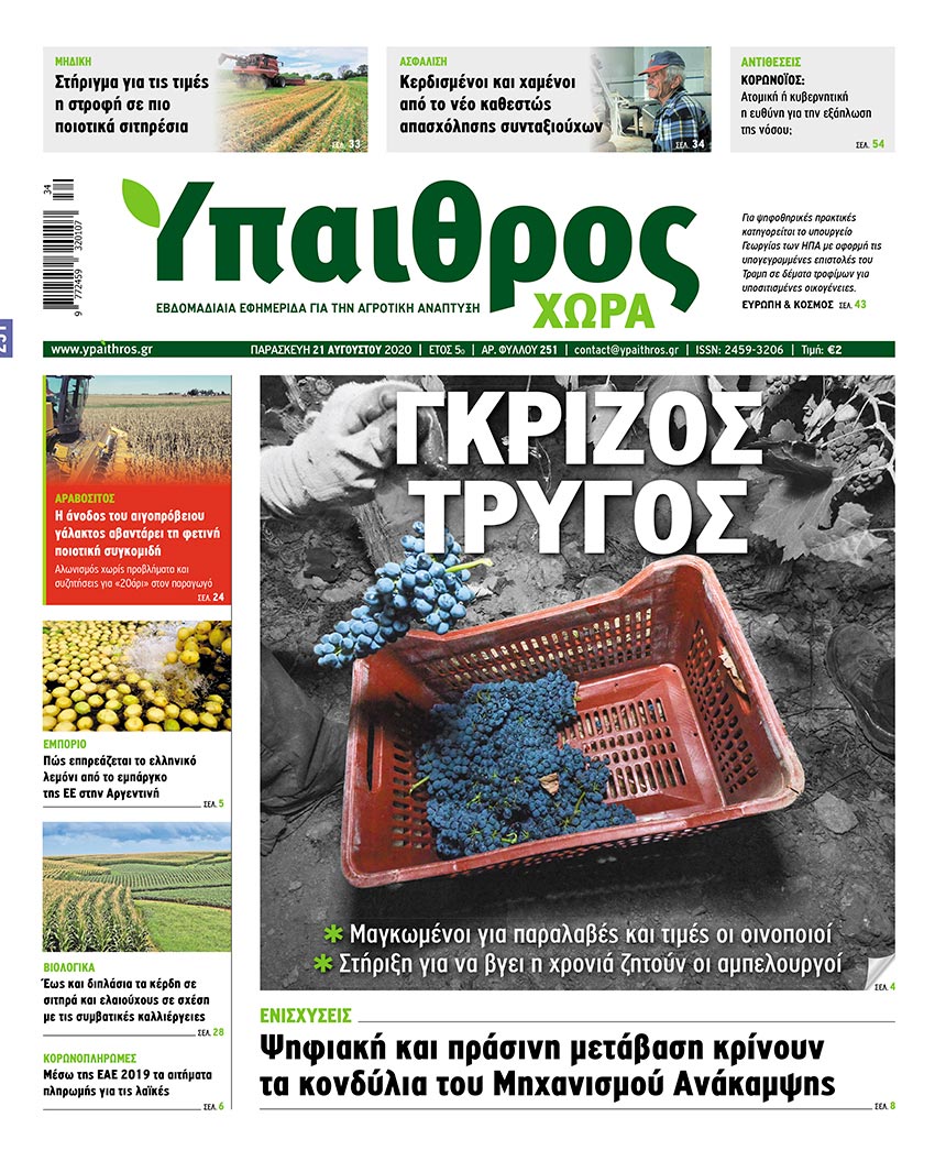 fyllo-251-paraskevi-21-avgoustou-2020-206000
