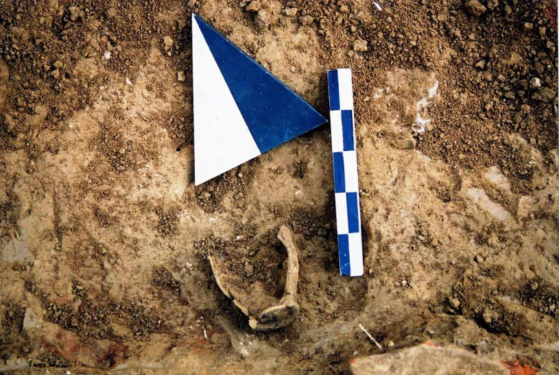 ta-apotelesmata-tis-archaiologikis-erevnas-sto-iero-tou-elikoniou-poseidona-stin-aigialeia-205947