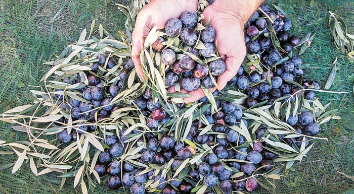 koronopliromes-eniaia-prokiryxi-gia-to-7chiliaro-etoimazei-to-ypaat-206577