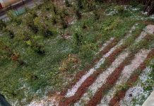 Κοζάνη: Καταστροφές από χαλάζι στο Δρυόβουνο