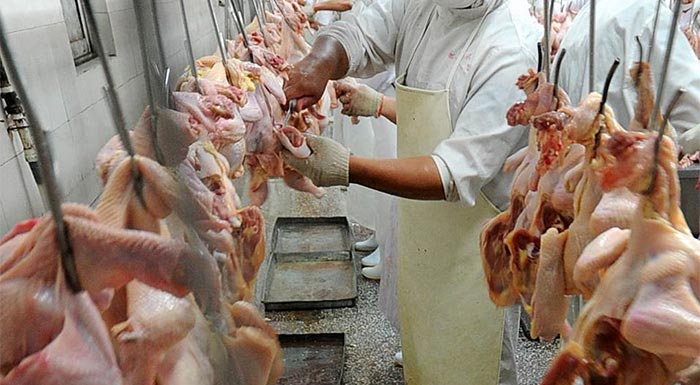 prostima-ypsous-ano-ton-300-chiliadon-evro-epikyrose-o-efet-se-epicheiriseis-kai-egkatastaseis-paragogis-trofimon-204737