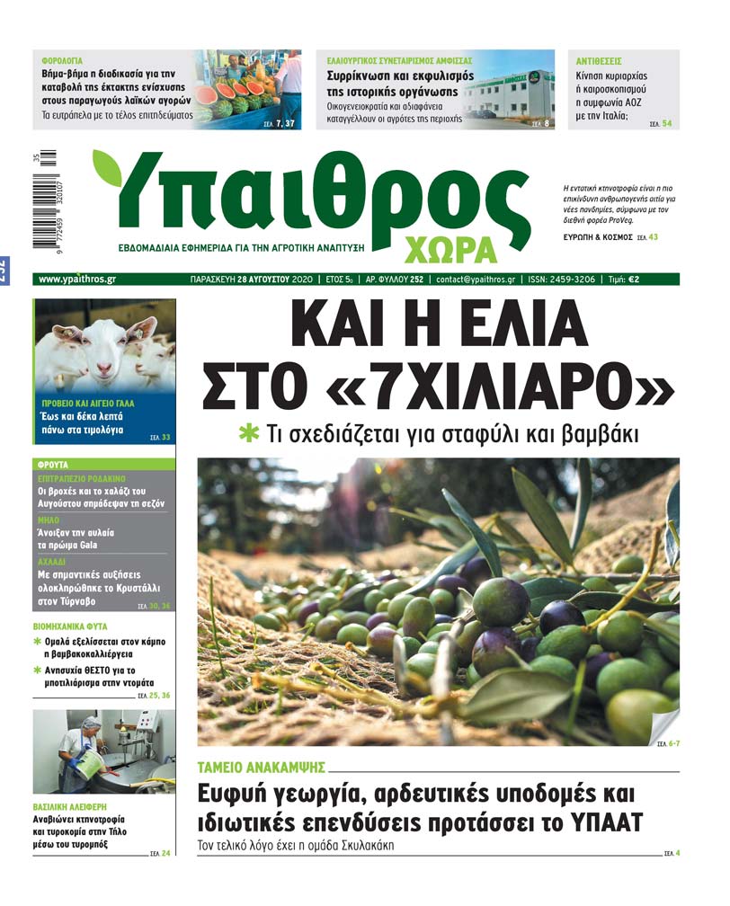 fyllo-252-paraskevi-28-avgoustou-2020-206562