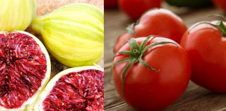 Η υψηλή θρεπτική αξία του σύκου και της ντομάτας