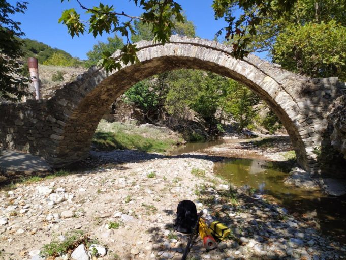 Δήμος Ελασσόνας: Συνεργασία με το πανεπιστήμιο του York στον Καναδά για ανάδειξη των πέτρινων γεφυριών