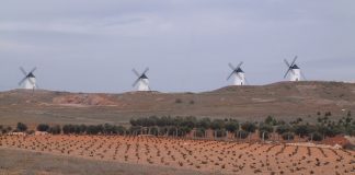 ΚΕΟΣΟΕ: Υψηλή η συγκομιδή στην Ισπανία, παρά τα μέτρα περιορισμού της παραγωγής