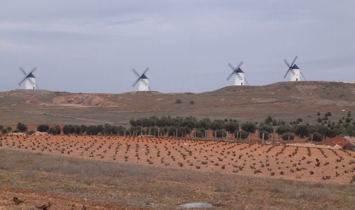 ΚΕΟΣΟΕ: Υψηλή η συγκομιδή στην Ισπανία, παρά τα μέτρα περιορισμού της παραγωγής