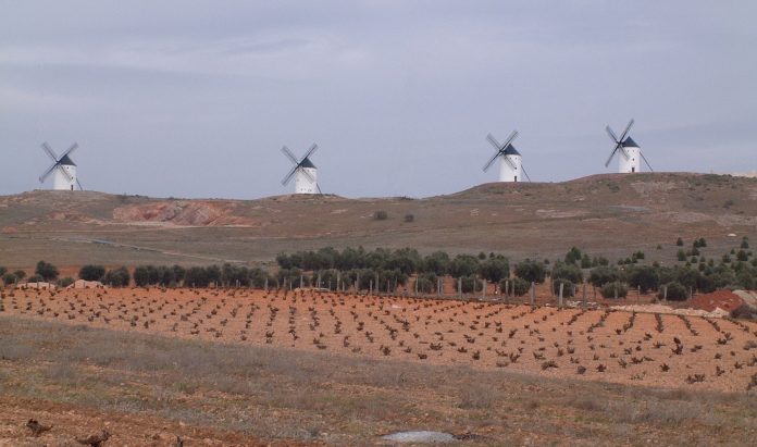 ΚΕΟΣΟΕ: Υψηλή η συγκομιδή στην Ισπανία, παρά τα μέτρα περιορισμού της παραγωγής ΚΕΟΣΟΕ: Υψηλή η συγκομιδή στην Ισπανία, παρά τα μέτρα περιορισμού της παραγωγής
