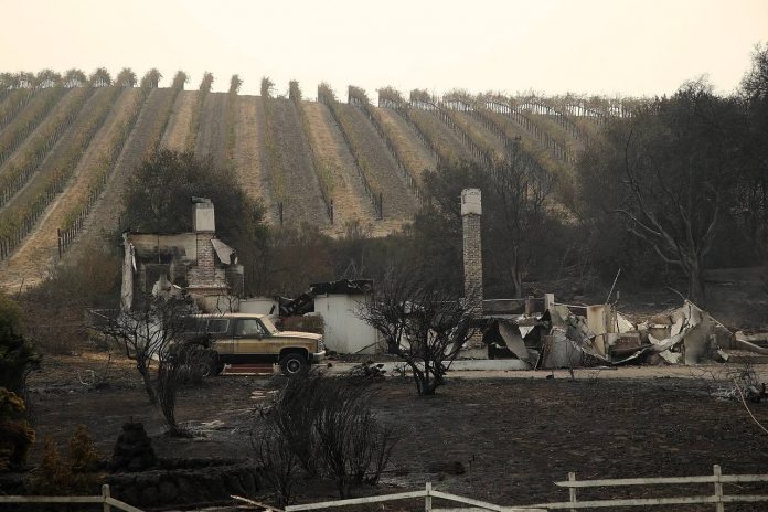 ΚΕΟΣΟΕ: Πάνω από 50.000 εκτάρια καταστράφηκαν από πυρκαγιές γύρω από τους αμπελώνες Napa και Sonoma στην Καλιφόρνια