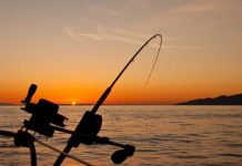 Πελοπόννησος: Ευοίωνες οι προοπτικές για τον αλιευτικό τουρισμό