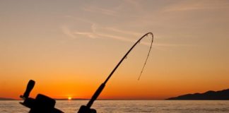 Πελοπόννησος: Ευοίωνες οι προοπτικές για τον αλιευτικό τουρισμό