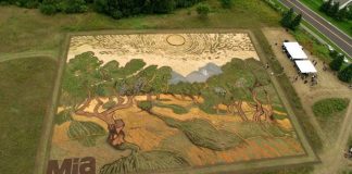 Του πήρε 6 μήνες να δημιουργήσει έναν πίνακα Van Gogh στο χωράφι του (βίντεο)
