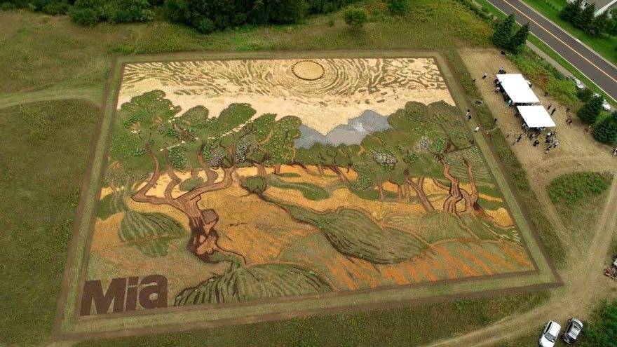 tou-pire-6-mines-na-dimiourgisei-enan-pinaka-van-gogh-sto-chorafi-tou-vinteo-207017