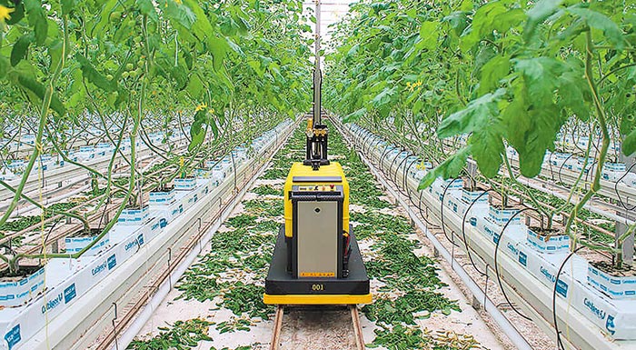 i-pagkosmia-agora-ton-robot-agrotechnologias-tha-diplasiastei-ta-epomena-pente-chronia-207860