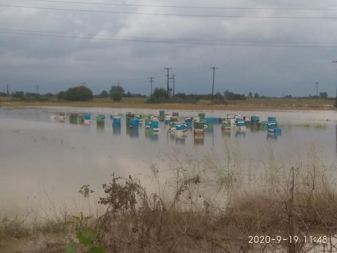Σοβαρές οι ζημιές και στη μελισσοκομία από την κακοκαιρία Ιανός Σοβαρές οι ζημιές και στη μελισσοκομία από την κακοκαιρία Ιανός