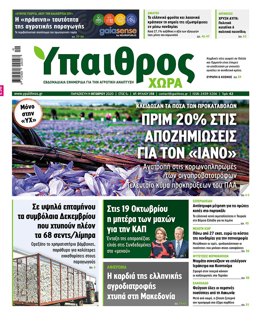 fyllo-258-paraskevi-9-oktovriou-2020-210610
