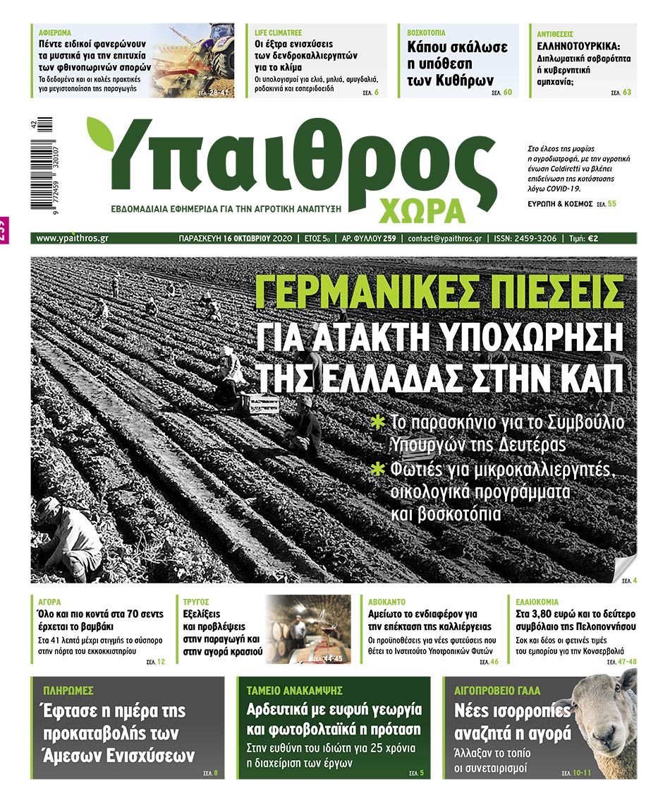 fyllo-259-paraskevi-16-oktovriou-2020-211345