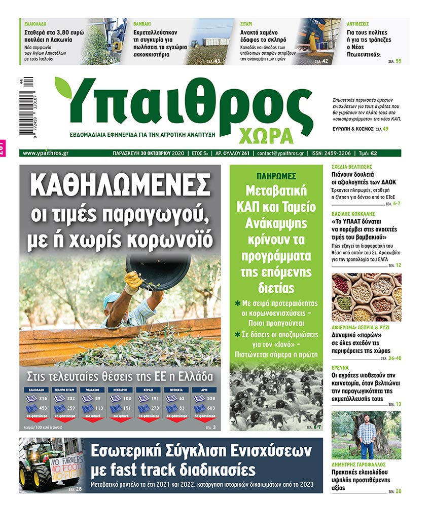 fyllo-261-paraskevi-30-oktovriou-2020-212528
