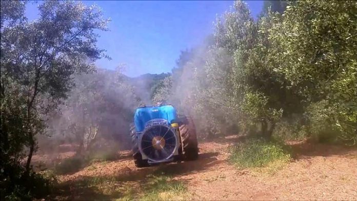 Αλλαγές στην υλοποίηση του 3ου ψεκασμού ελαιοδέντρων στην Ικαρία