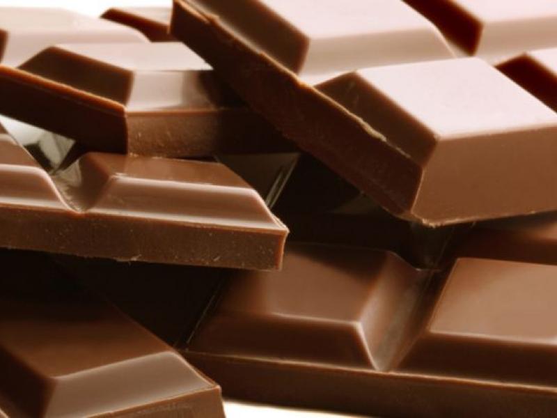 velgio-salmonella-entopisthike-sto-vasiko-ergostasio-tou-pagkosmiou-kolossou-sokolatas-barry-callebaut-211910