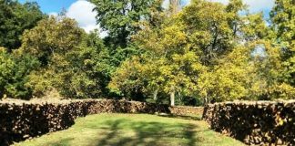 Φλώρινα: Ξεκινάει η διάθεση των ξύλων στην Κοινότητα Σκλήθρου