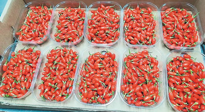 italia-i-mavri-lista-me-ta-pio-molysmena-eisagomena-trofima-211851