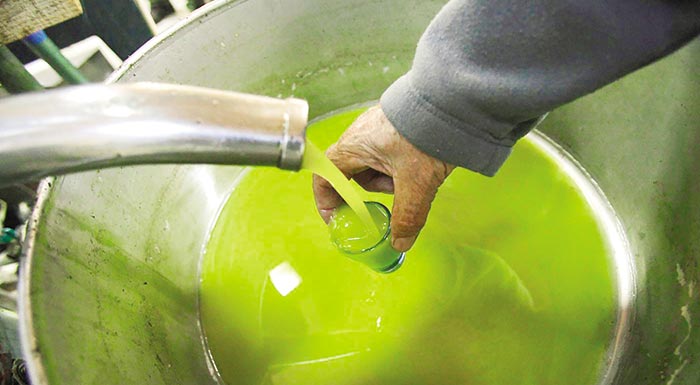 to-kritiko-elaiolado-pge-tha-emfialonetai-mono-stin-kriti-apanta-ston-sevitel-i-enosi-irakleiou-210832
