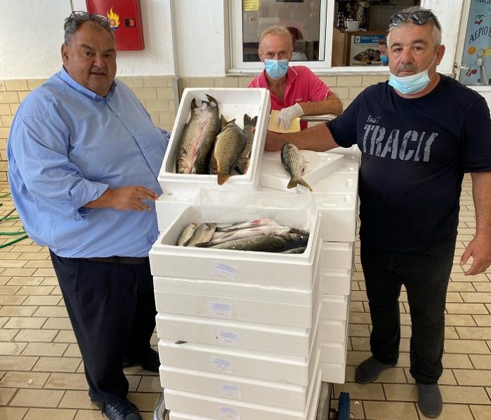 ΟΚΑΑ: Ειδικό σήμα θα ενημερώνει τους καταναλωτές για την εφαρμογή διαδικασιών ελέγχου προέλευσης των αλιευμάτων ΟΚΑΑ: Ειδικό σήμα θα ενημερώνει τους καταναλωτές για την εφαρμογή διαδικασιών ελέγχου προέλευσης των αλιευμάτων