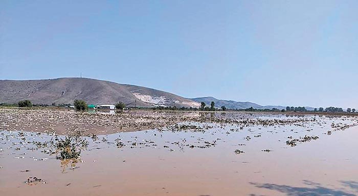 ekatontades-chiliades-stremmata-se-oli-tin-ellada-pou-prepei-na-apozimiothoun-gia-ton-iano-209986