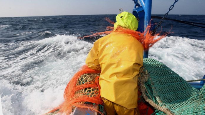 Πώς βασιλική χορηγία του 1666 δίνει άδεια σε Βέλγους αλιείς να ψαρεύουν σε Βρετανικά ύδατα Πώς βασιλική χορηγία του 1666 δίνει άδεια σε Βέλγους αλιείς να ψαρεύουν σε Βρετανικά ύδατα