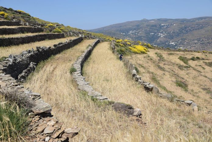 Σεμινάρια ποικίλης θεματικής σχετικά με την καλλιέργεια των αναβαθμίδων Σεμινάρια ποικίλης θεματικής σχετικά με την καλλιέργεια των αναβαθμίδων