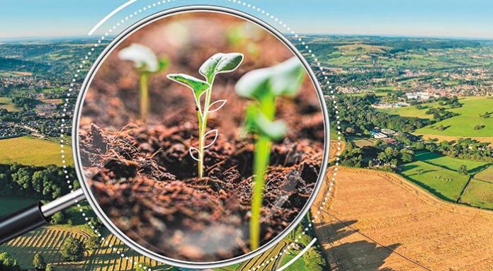 short-term-outlook-autumn-2020_en-1