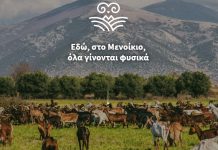 Συνεταιρισμός «Μενίκοιο»: Οι απαιτήσεις και δυσκολίες της ζωής του κτηνοτρόφου