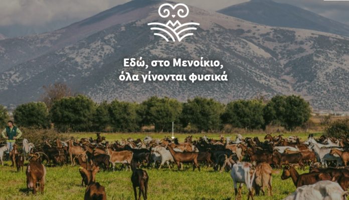 Συνεταιρισμός «Μενίκοιο»: Οι απαιτήσεις και δυσκολίες της ζωής του κτηνοτρόφου Συνεταιρισμός «Μενίκοιο»: Οι απαιτήσεις και δυσκολίες της ζωής του κτηνοτρόφου