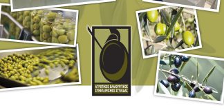 Συνεχίζει τις παραλαβές επιτραπέζιας ελιάς από τα μέλη του ο Συνεταιρισμός Στυλίδας - Αναλυτικά οι τιμές