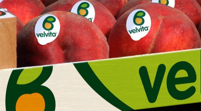 velvita